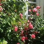 Rosindell 3* Halle (Westfalen)