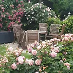 Rosindell 3* Halle (Westfalen)