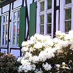 Rosindell 3* Halle (Westfalen)