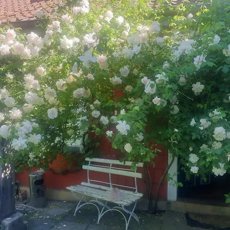 Rosindell Oda ve Kahvaltı 3*