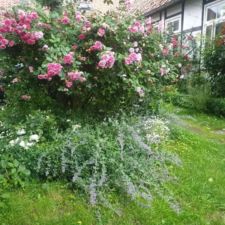Bed & Breakfast Rosindell Halle (Westfalen)