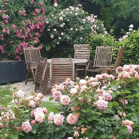 Rosindell 3* Halle (Westfalen)