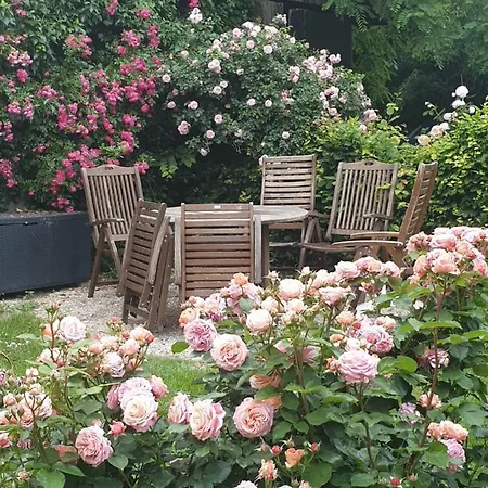 Rosindell 3* Halle (Westfalen)