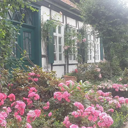 Bed & Breakfast Rosindell
