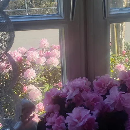 Rosindell Bed & Breakfast