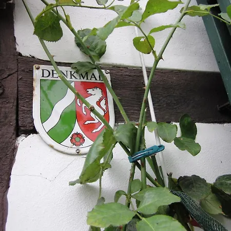 Rosindell Bed and Breakfast Halle (Westfalen)