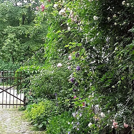 לינה וארוחת בוקר Rosindell Halle (Westfalen)