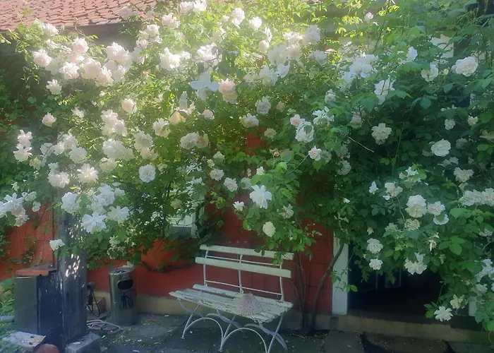 Rosindell Bed & Breakfast 3*