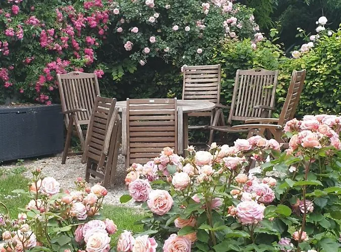 Rosindell 3* Lichtenau/Westfalen