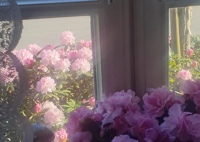 Rosindell Bed & Breakfast