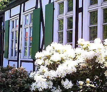 Rosindell 3* Lichtenau/Westfalen