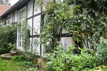 Rosindell 3* Lichtenau/Westfalen